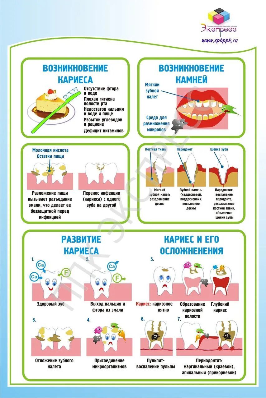 Проект профилактика кариеса у ребят младшего возраста