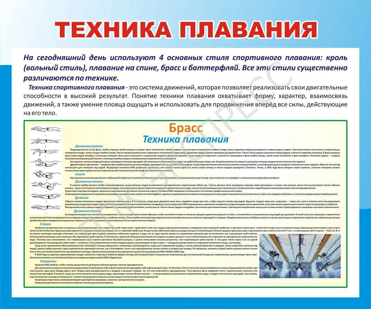 Стенд "Техника плавания". (Брасс)