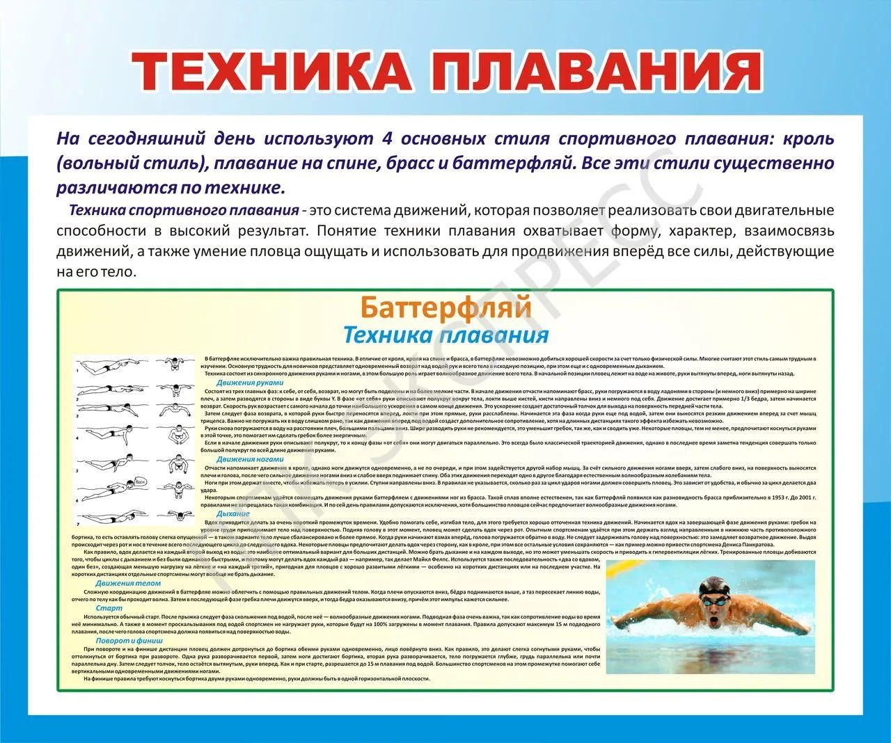 Стенд "Техника плавания". (Баттерфляй)